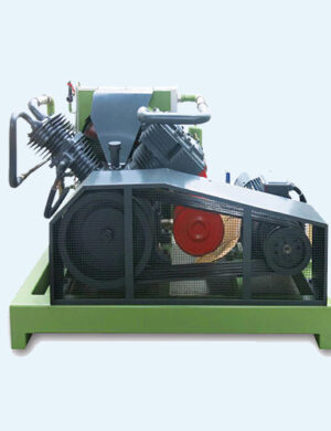 DGW Oil Free Piston Air Compressor